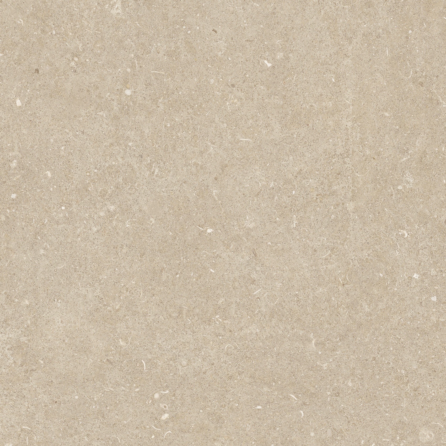 785505 На пол Rinascenza Arena Conchiglia Grip 20mm 120x120 - фото 4