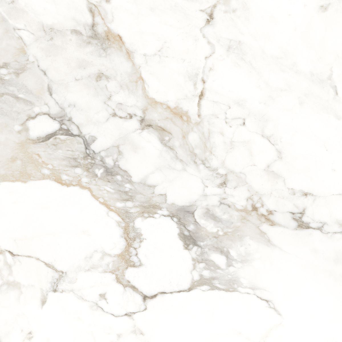 P102082164 На пол Bernini Gold Glossy 60х60