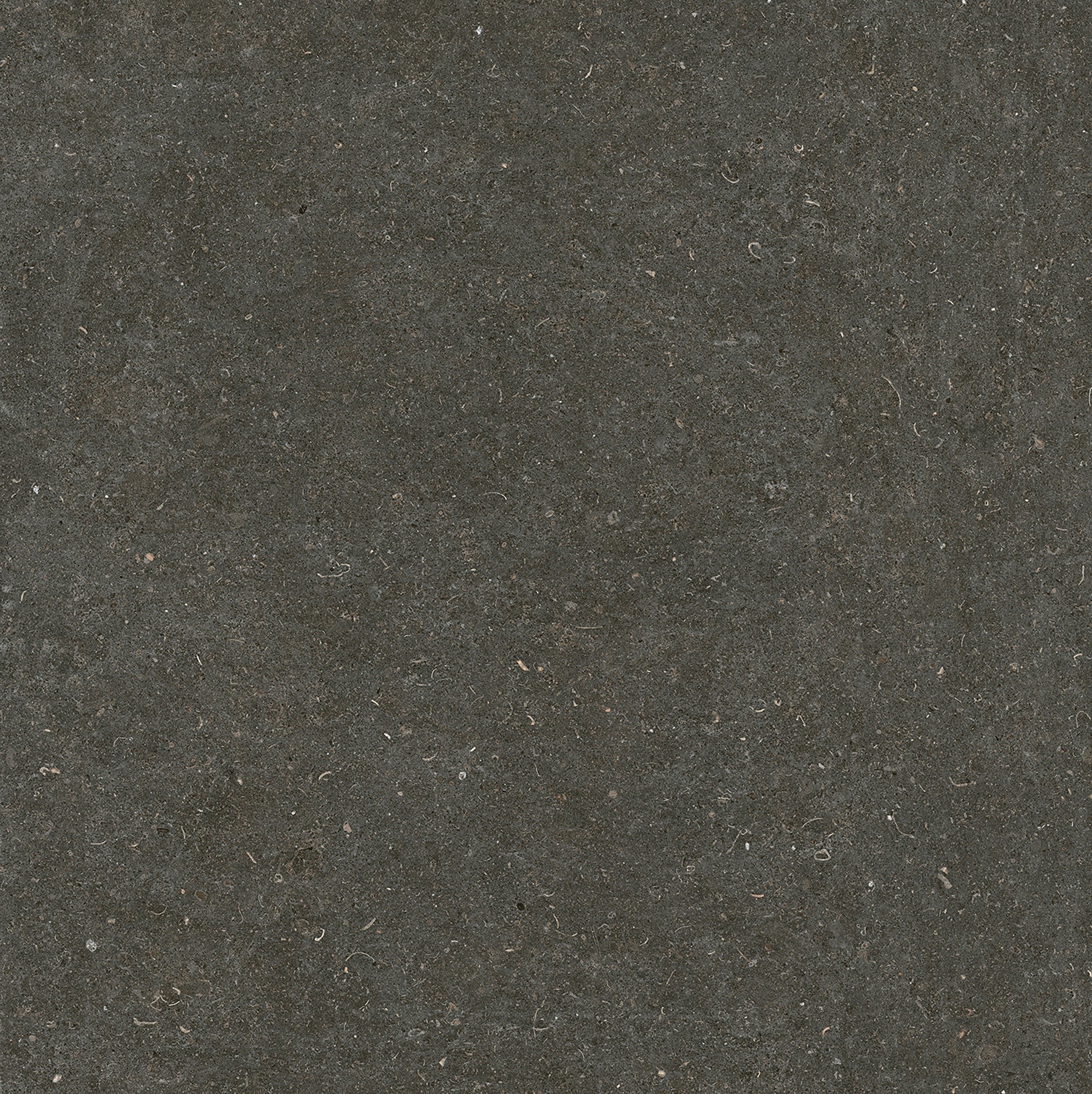 785581 На пол Rinascenza Arena Platino Matte 6mm 120x120 - фото 5