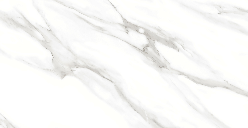F2010821120G На пол Venezia White Glossy 60x120