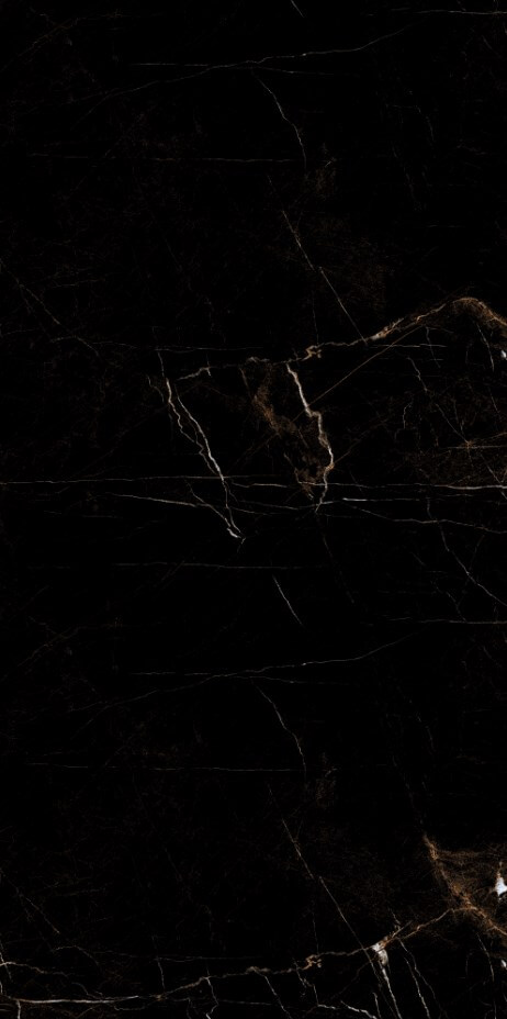 389 Напольный Marble 5.5mm Tropic Black 60x120