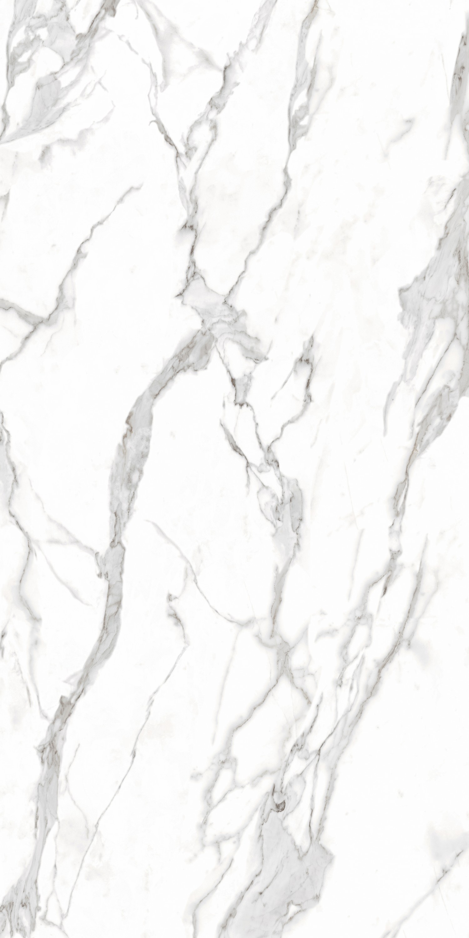 На пол Auspicious Motif Polished Спеченный камень 1200x2400x6