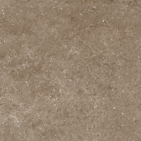 На пол Аркаим G214 Коричневый Матовый неполированный 60x60