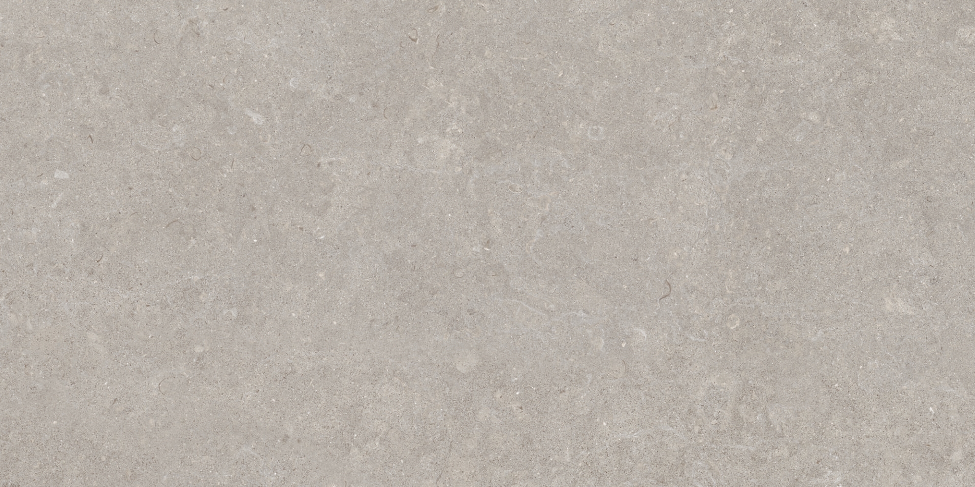 31751 На пол Ghent Grey AS/60X120/C/R 60x120 - фото 4