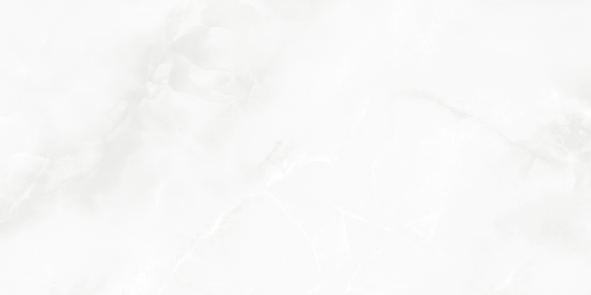 LP6012G0541R На пол Bernini Bianco белый глянцевые чернила 59.5х119.1 - фото 12