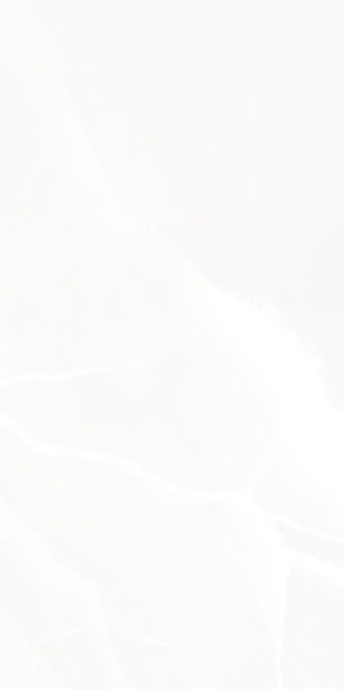 2207 На пол Onix White Poli 9 mm 120x60
