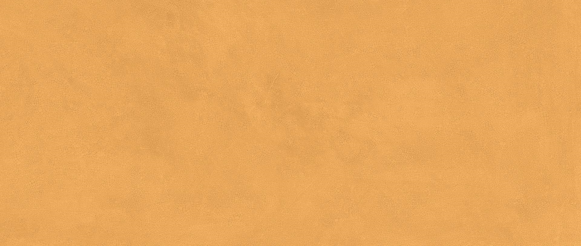 HHI5 На стену Vivia Crelis Ochre Lucido 50x120
