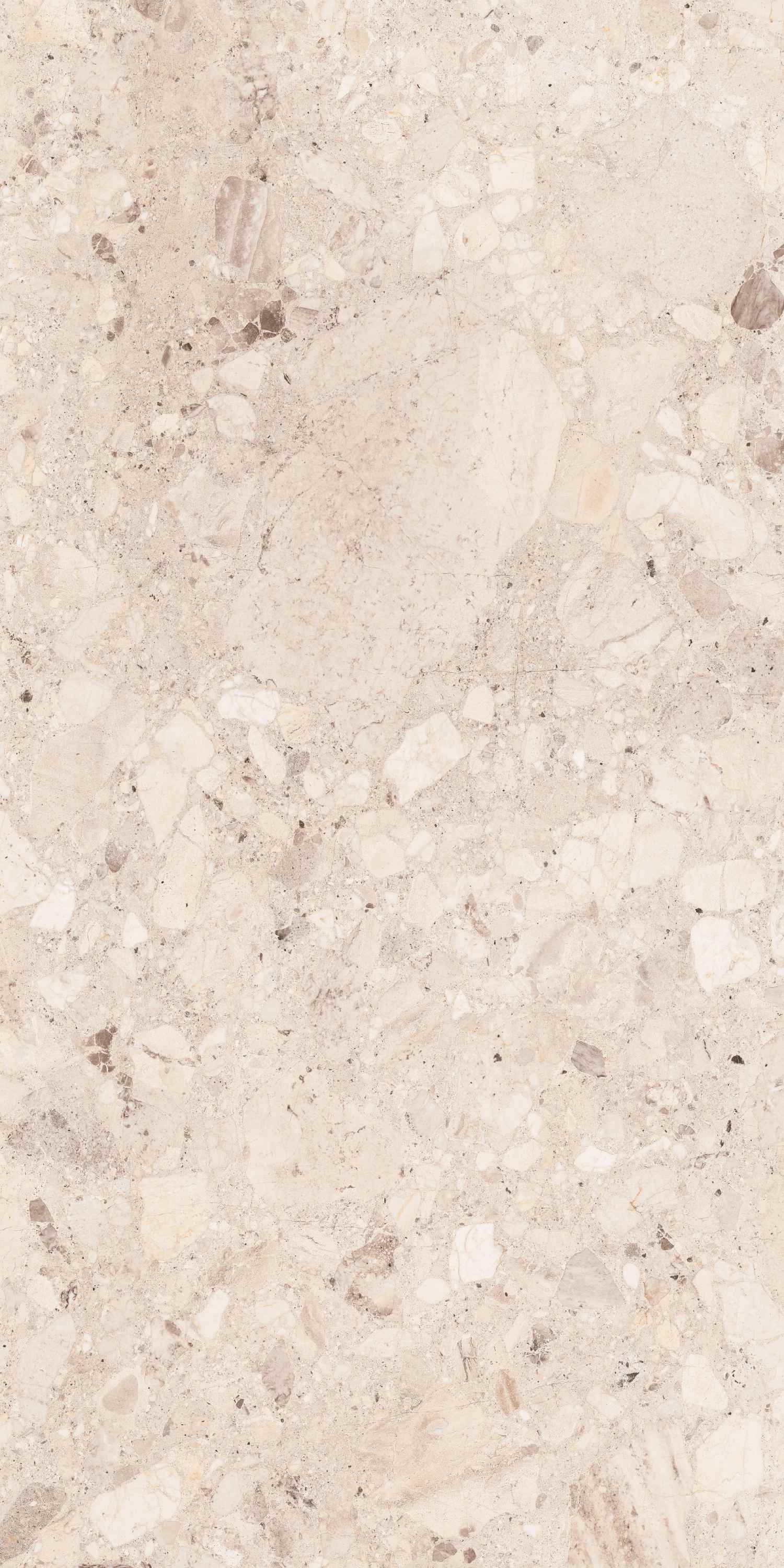 На пол Clio Ivory Deck 60x120 - фото 3