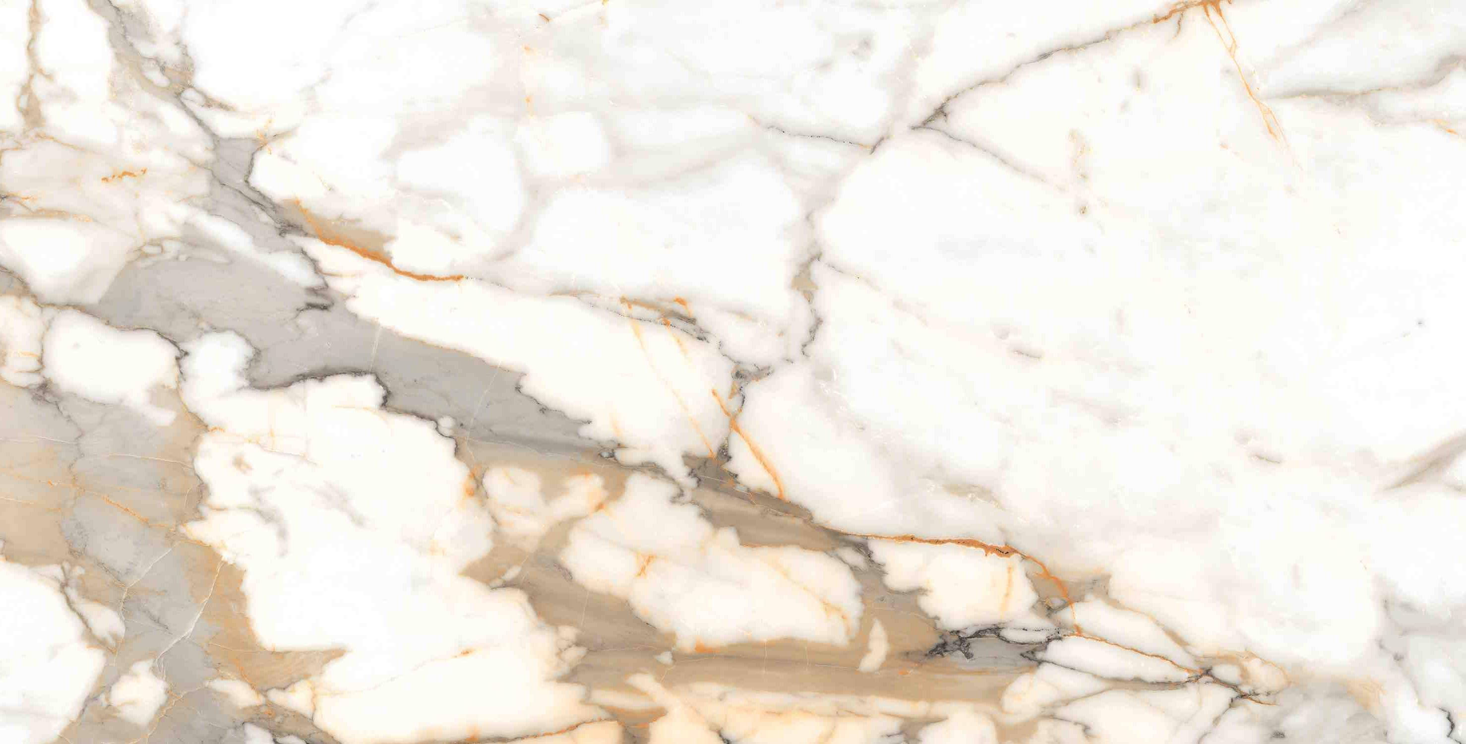 ENMAR7003MT60120 На пол Marble Calacatta Oro Matt 60x120 - фото 6