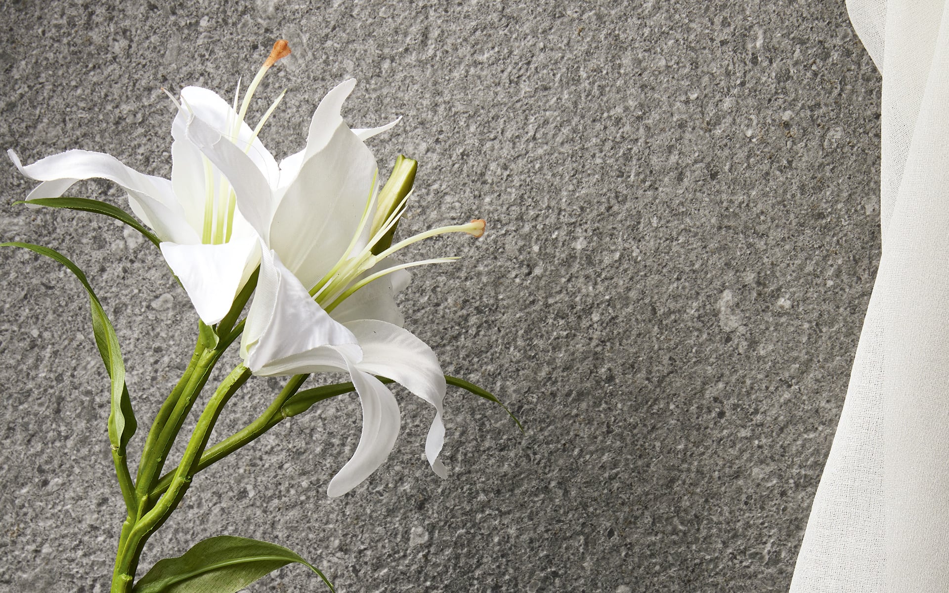 8929984 На пол Victorian Stone Moon Cream Structured 120x60 - фото 33