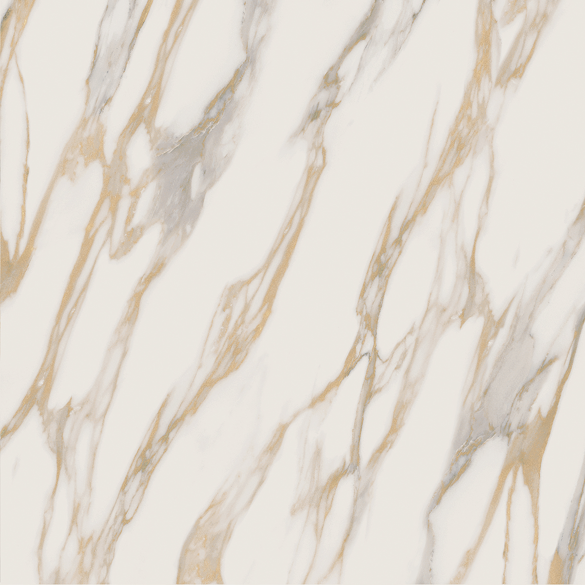 RM01/PS_NC/60x60x9R/GW На пол Miramare RM01 White Полированный 60x60x9 - фото 8