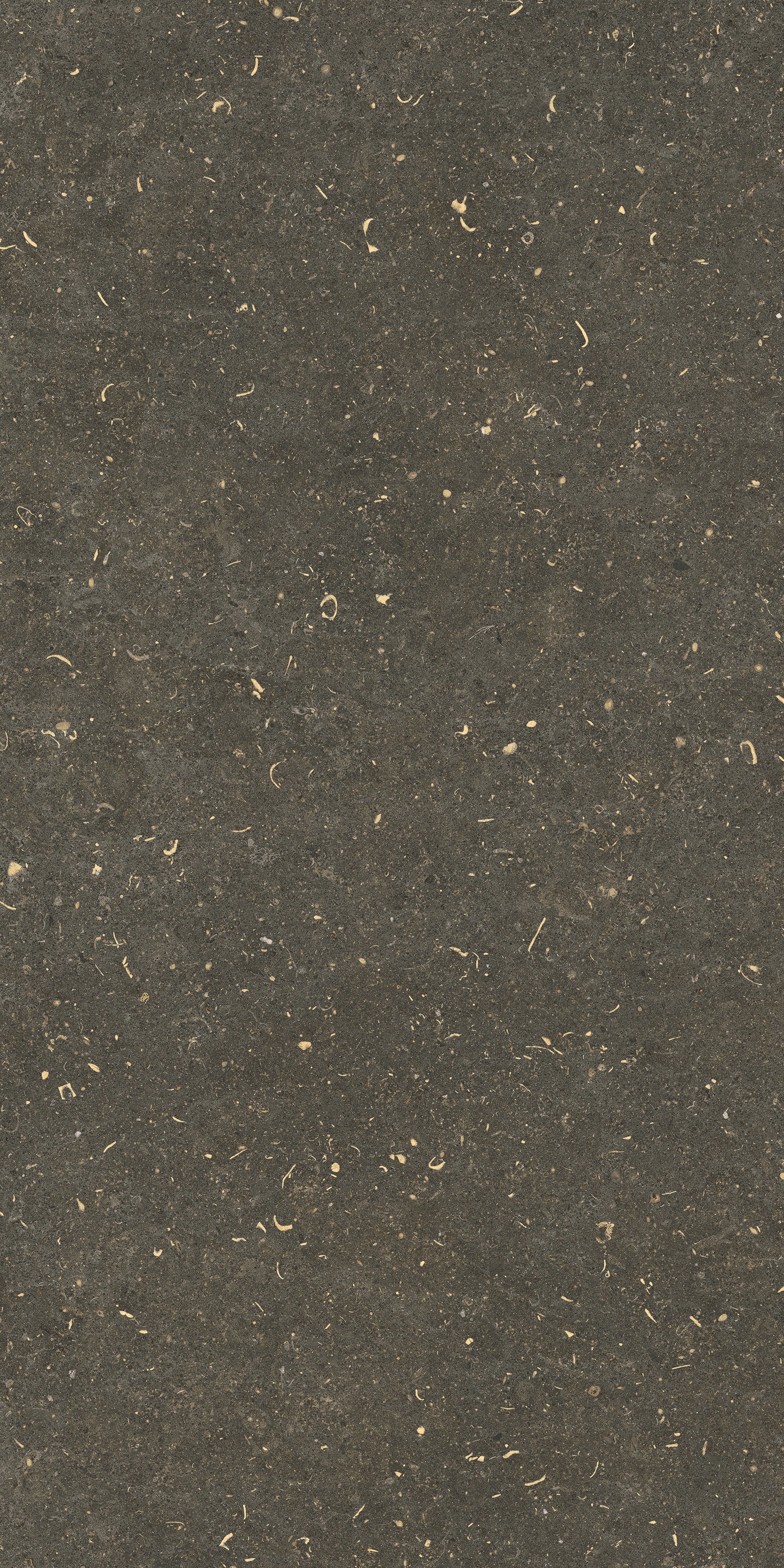 785483 На пол Rinascenza Arena Platino Matte 60x120 - фото 2