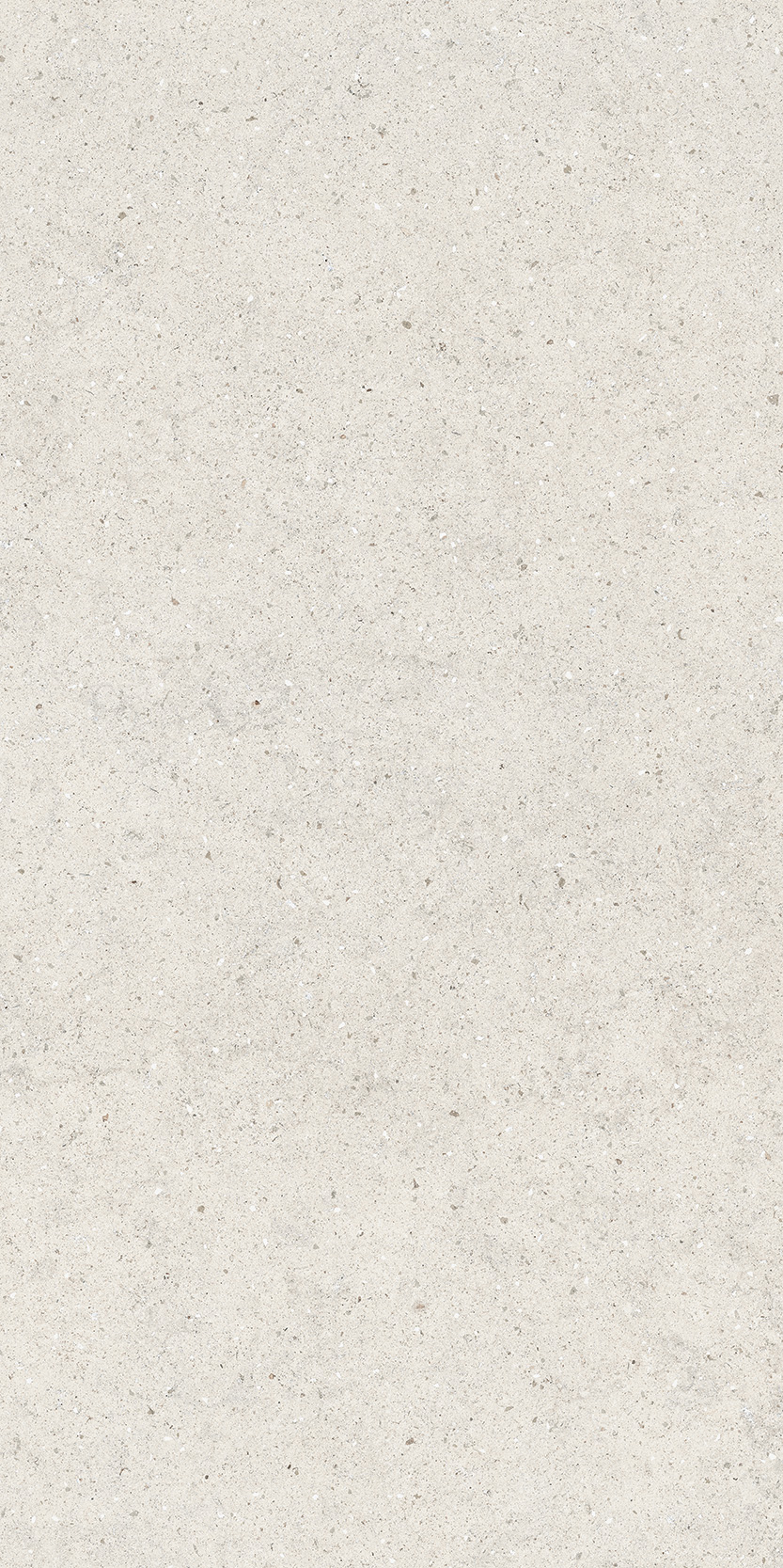 610010004166 На пол Forum Stone Polar Ret 60x120