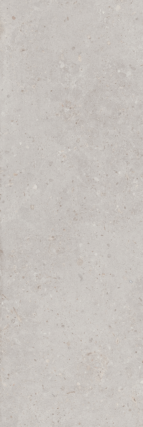 14053R На стену Риккарди Серый Светлый Матовый Обрезной 40x120 - фото 6