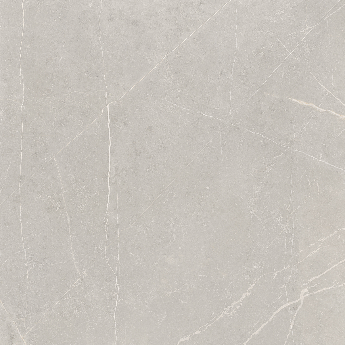 NL02/PS_NC/60x60x10R/GW На пол Nolana NL02 Light Grey Полированный Рект. 60x60x10 - фото 7
