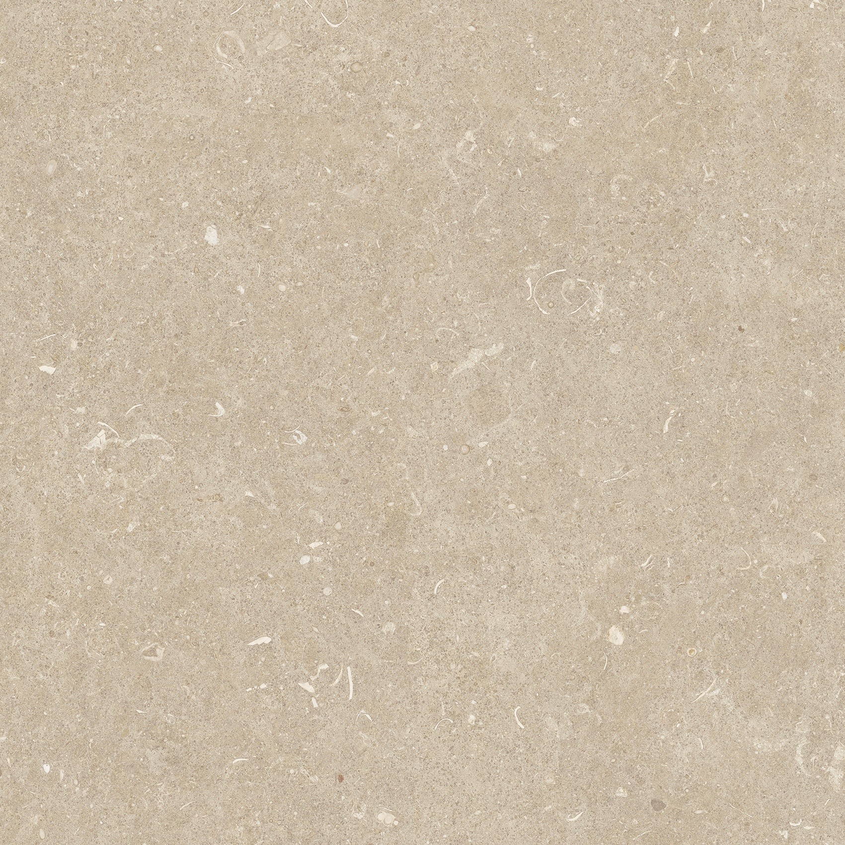 785505 На пол Rinascenza Arena Conchiglia Grip 20mm 120x120