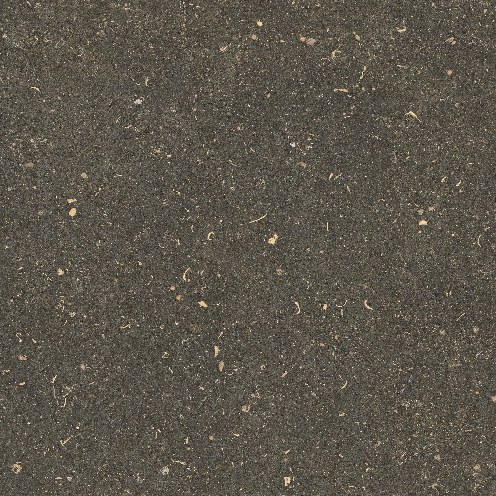 785487 На пол Rinascenza Arena Platino Matte 60x60 - фото 3