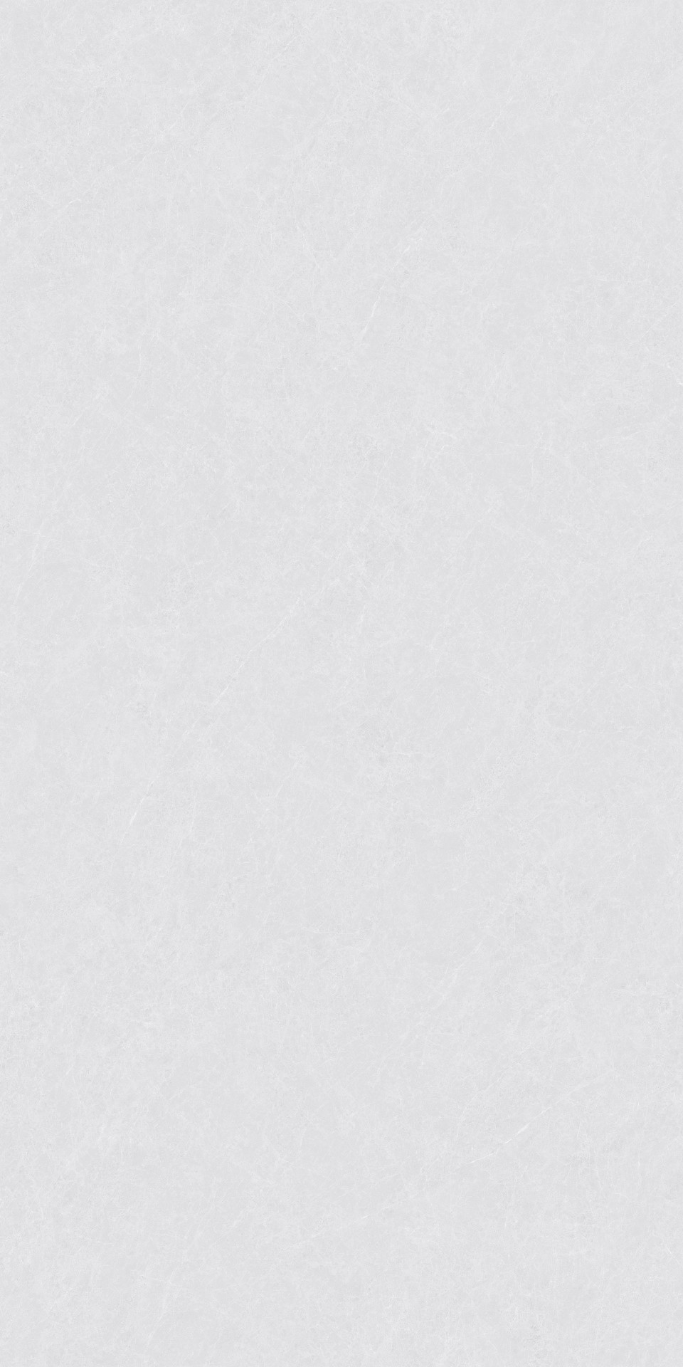 ZA-L12502 На пол Пепел Матовый 1200x600x9