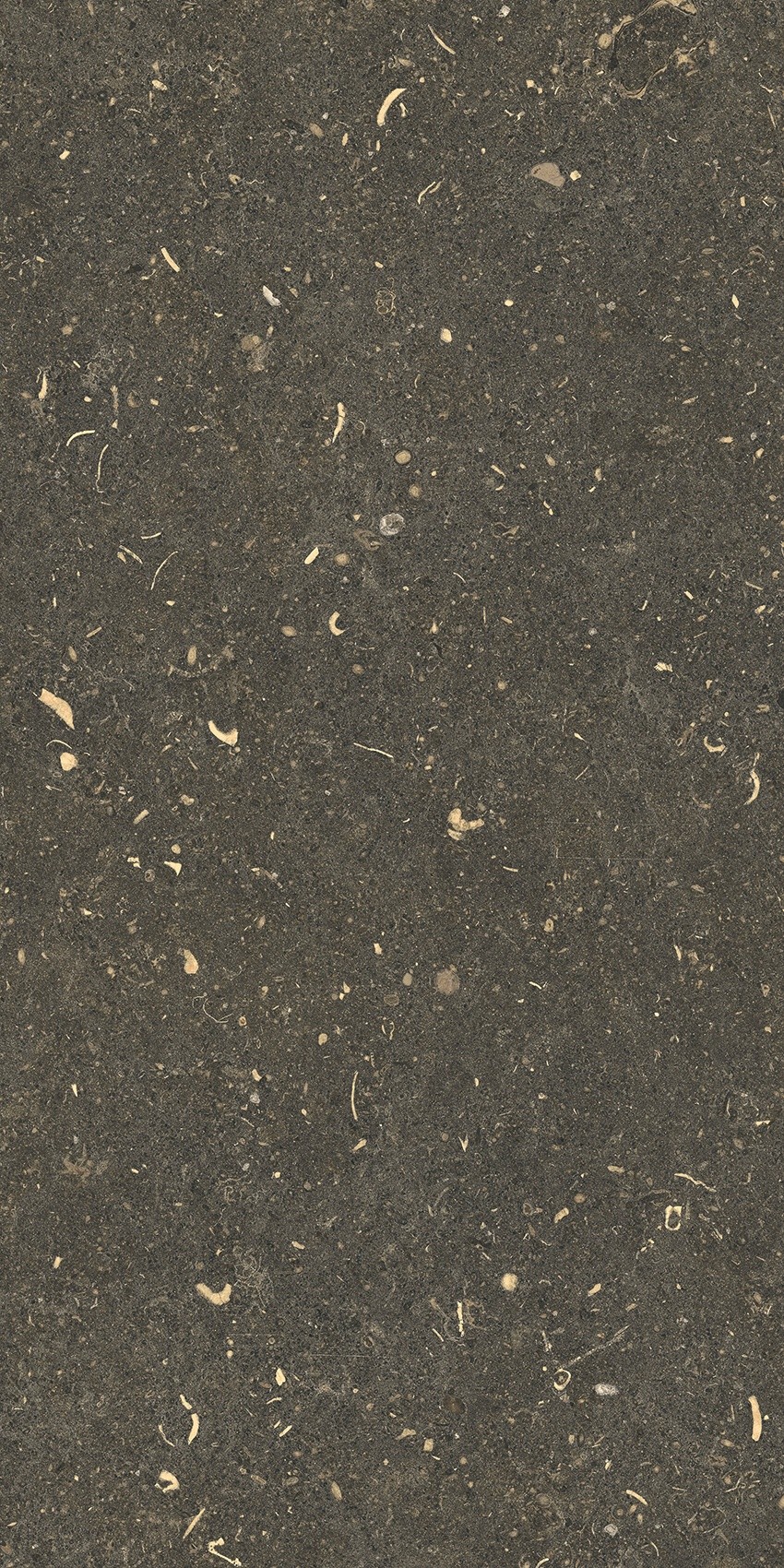 785503 На пол Rinascenza Arena Platino Grip 30x60 - фото 2