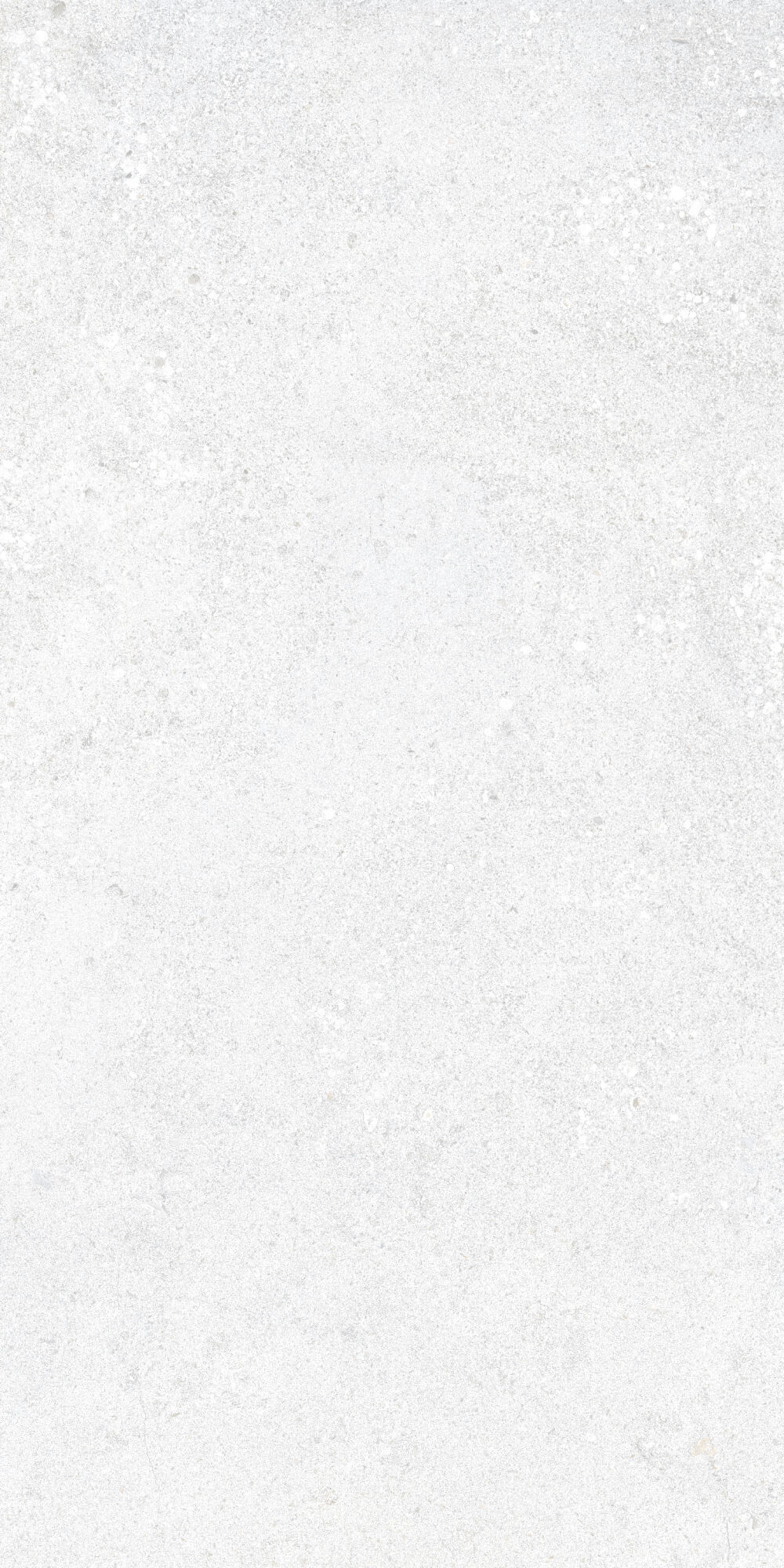 36905 На пол Cluny White 4D/50X100X2/A/R 50x100 - фото 6