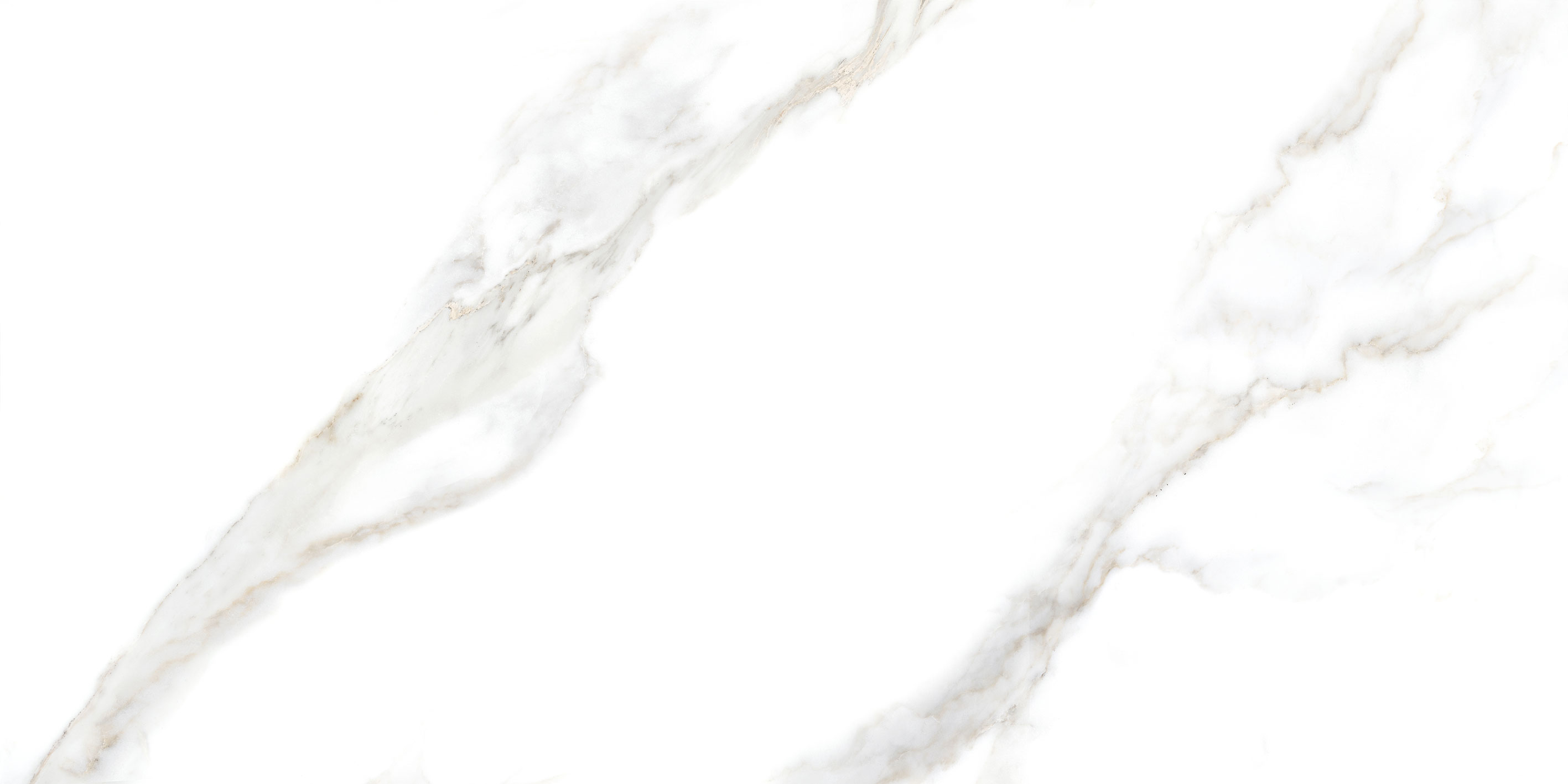 GT5010026803MR На пол Сопрано Белый 50x100 - фото 4