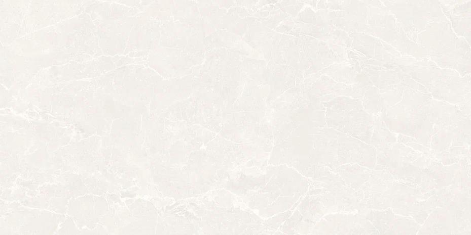 На пол Pro Line Паниз МТ 60х120 - фото 3