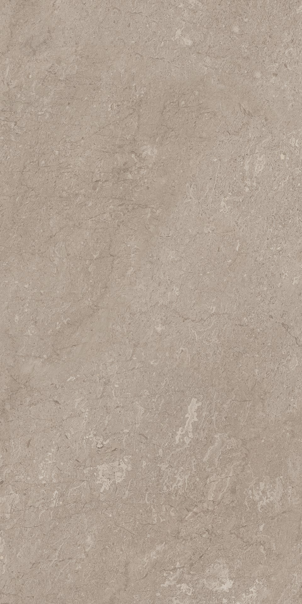 AEM02/NS_R9/60x120x9R/GW На пол Элемента Серый Неполированный Рект 60x120x9