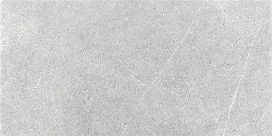 CAN5NORODDKA На пол Northon Light Grey MT Rect 60x120