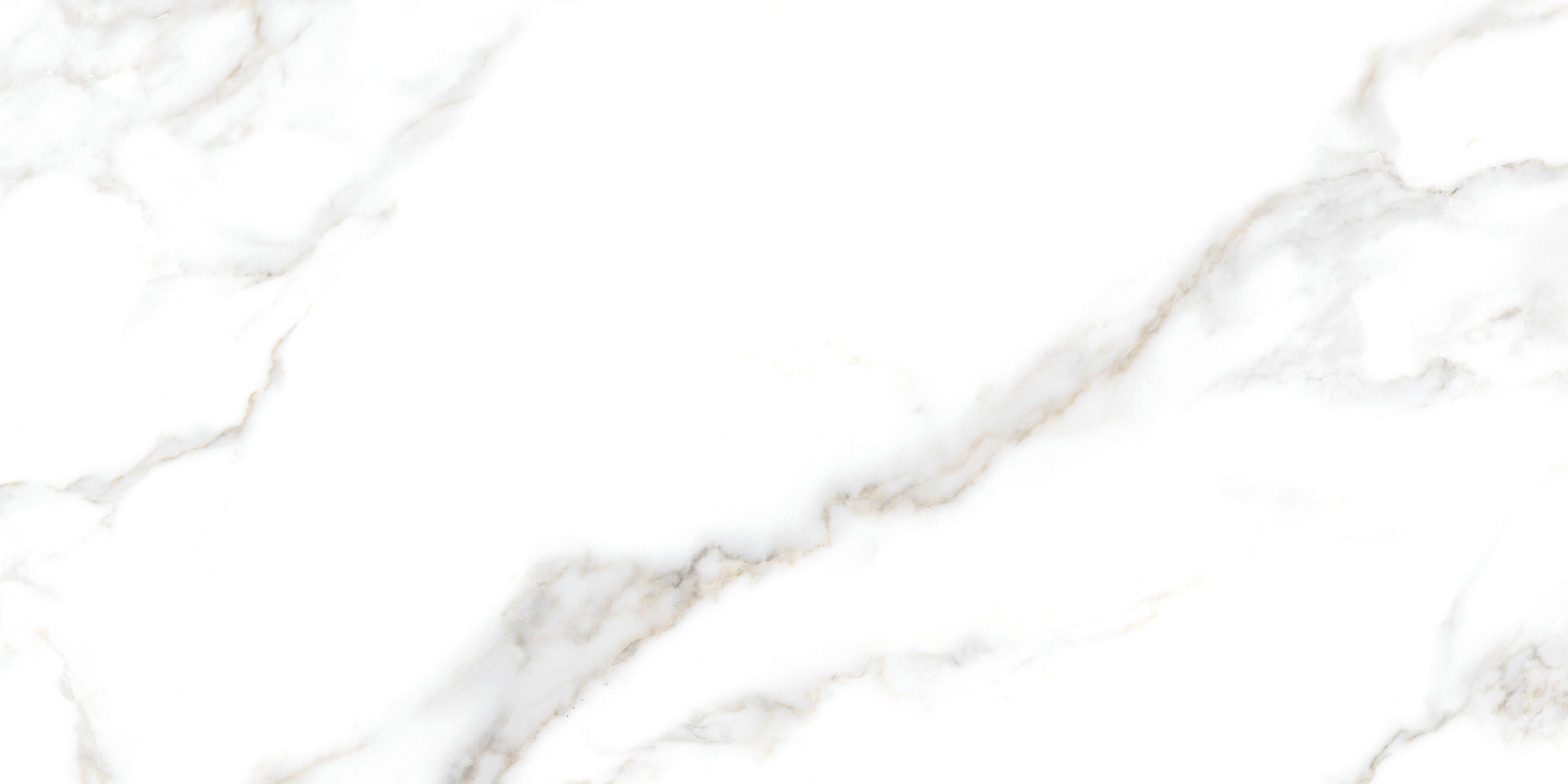 GT5010026803MR На пол Сопрано Белый 50x100 - фото 8