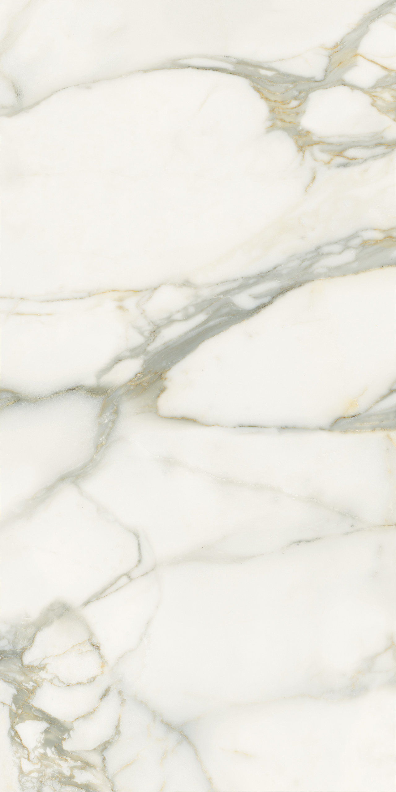 P628365 На пол Select Calacatta Oro Natural 8mm 60x120 - фото 2