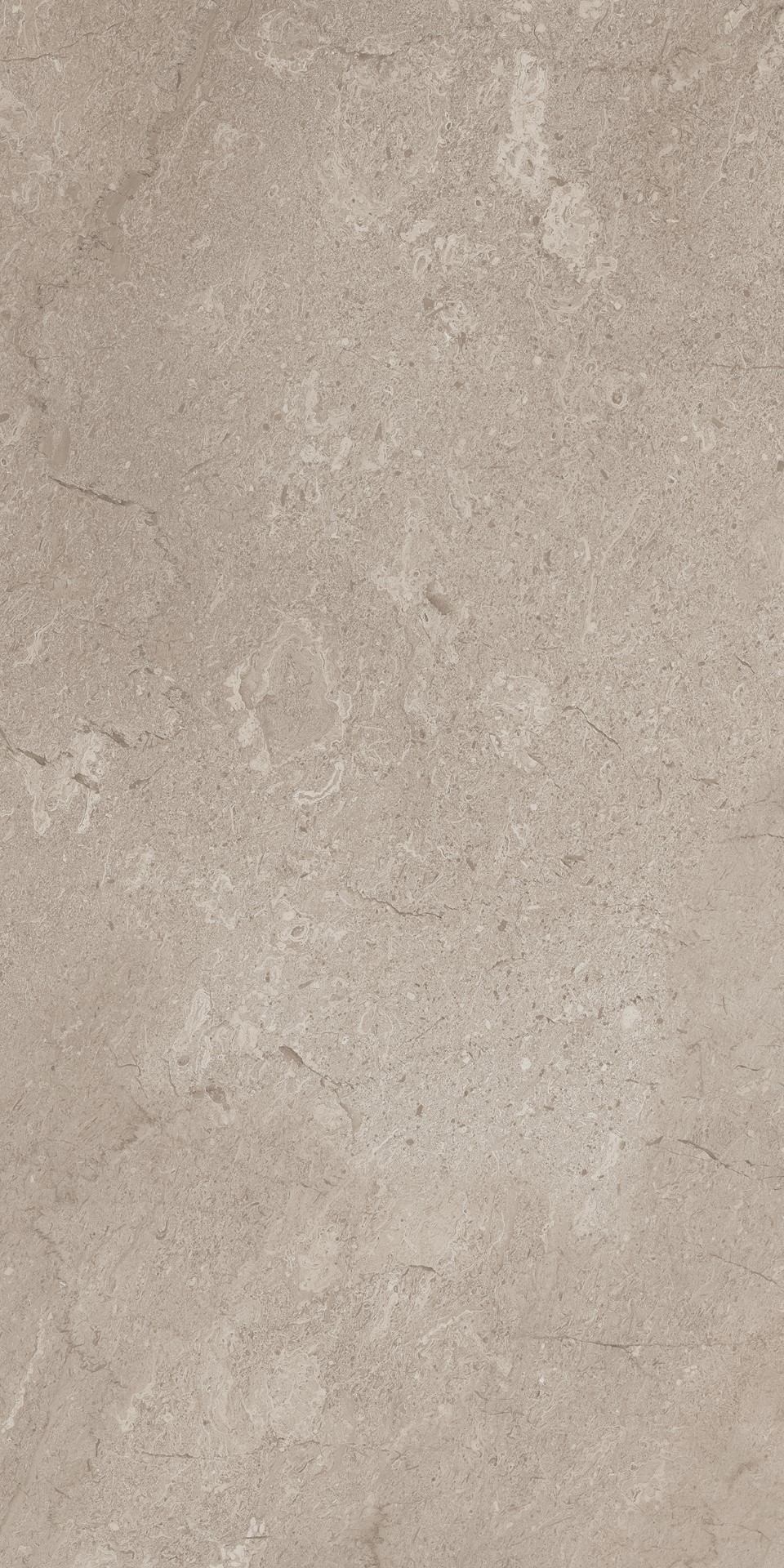 AEM02/NS_R9/60x120x9R/GW На пол Элемента Серый Неполированный Рект 60x120x9 - фото 10