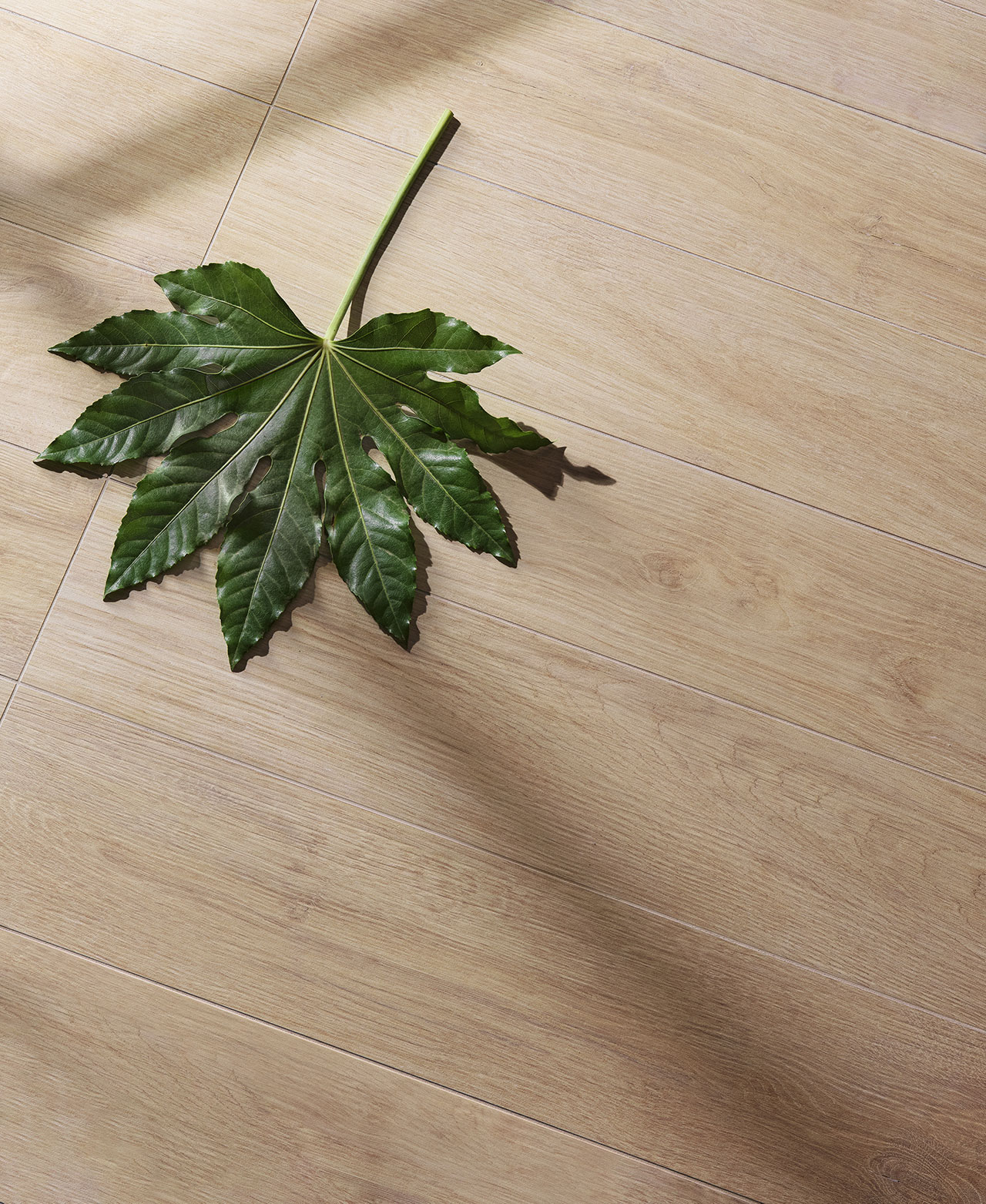 Isla Tiles Legni D Italia - фото 11