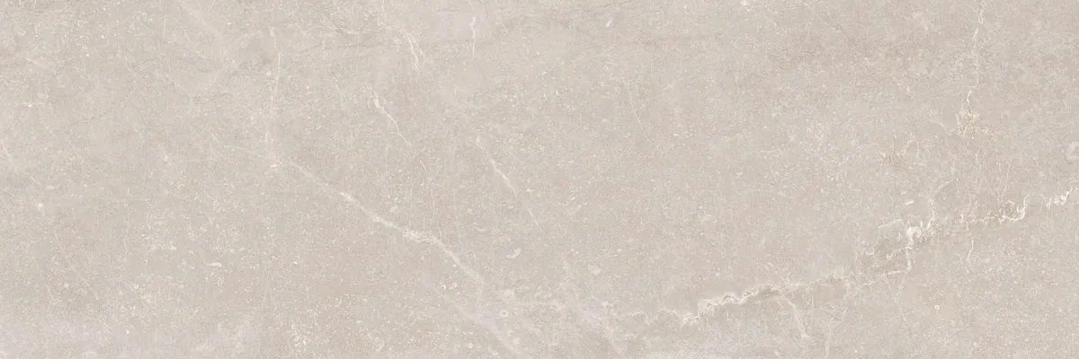 R0001633 На стену Bleuemix Taupe 40x120 - фото 8