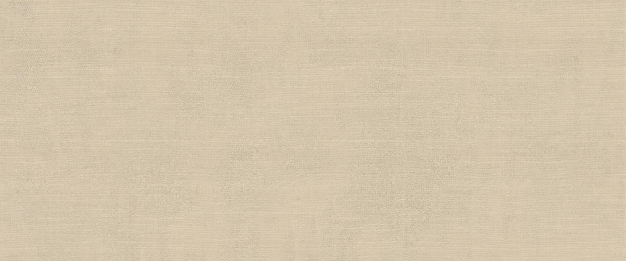 HCDR На стену Vest Ecru Matt 50x120 - фото 2