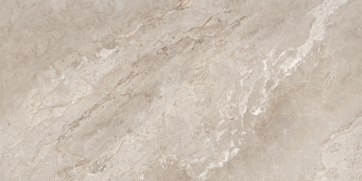 N20767 На пол Marble Rome Taupe Polished 60x120 - фото 4