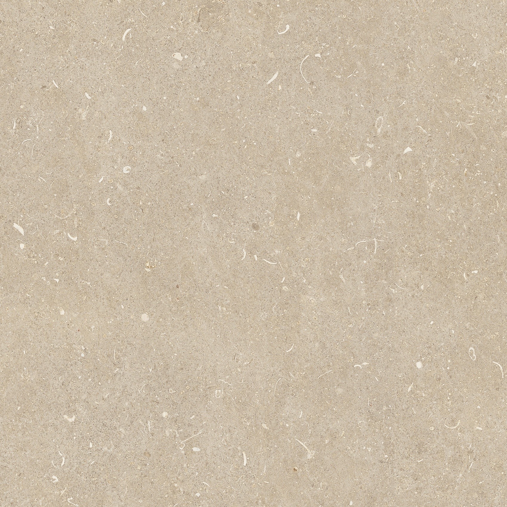 785497 На пол Rinascenza Arena Conchiglia Grip 60x60