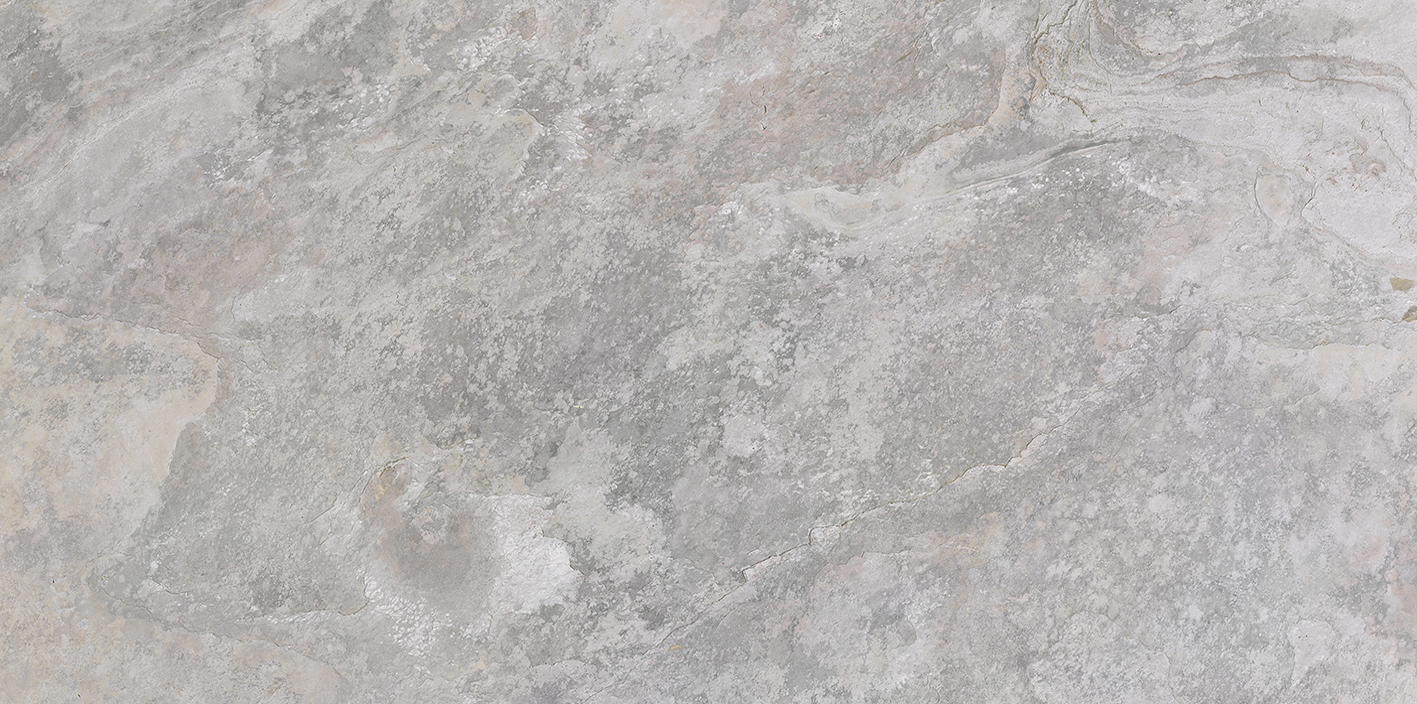 100202669 На пол Image Silver 59.6x120