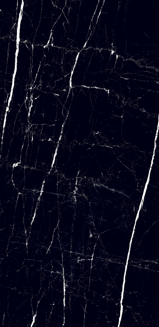 MOG602/PS_NC/60x120x9R/GW На пол Marble Black полированный 60x120