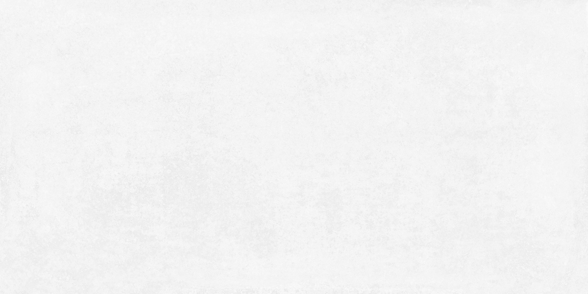 На пол Betonica Blanco PRO Светло-серый матовый R11Soft 60х120 - фото 2