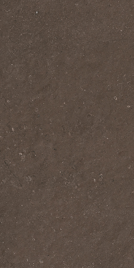 PV014 На пол Pierre Vive Brionne Noble 60x120