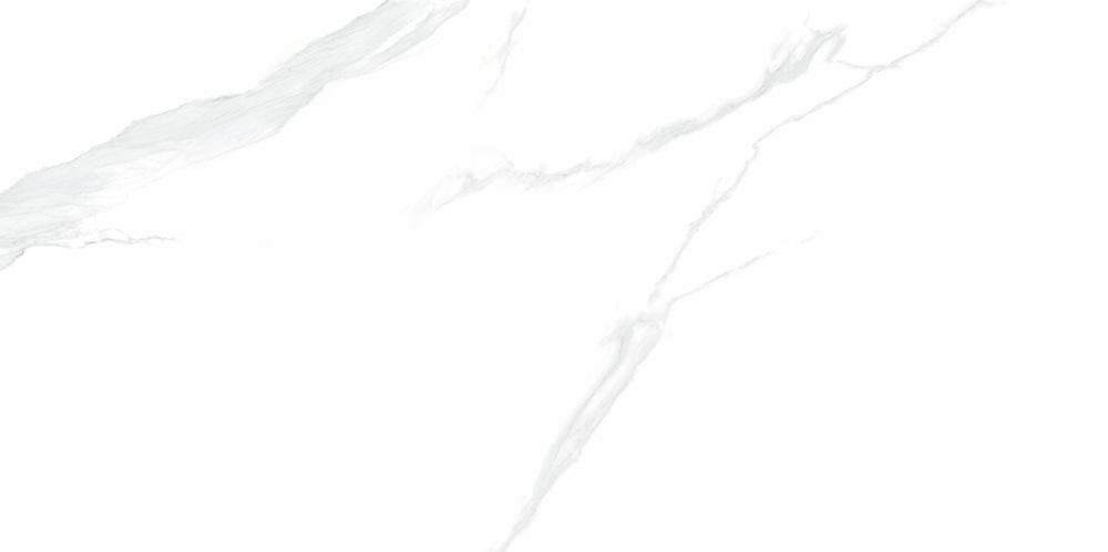 NTT9106P  На пол Bright And Shiny Statuario 60x120 - фото 5