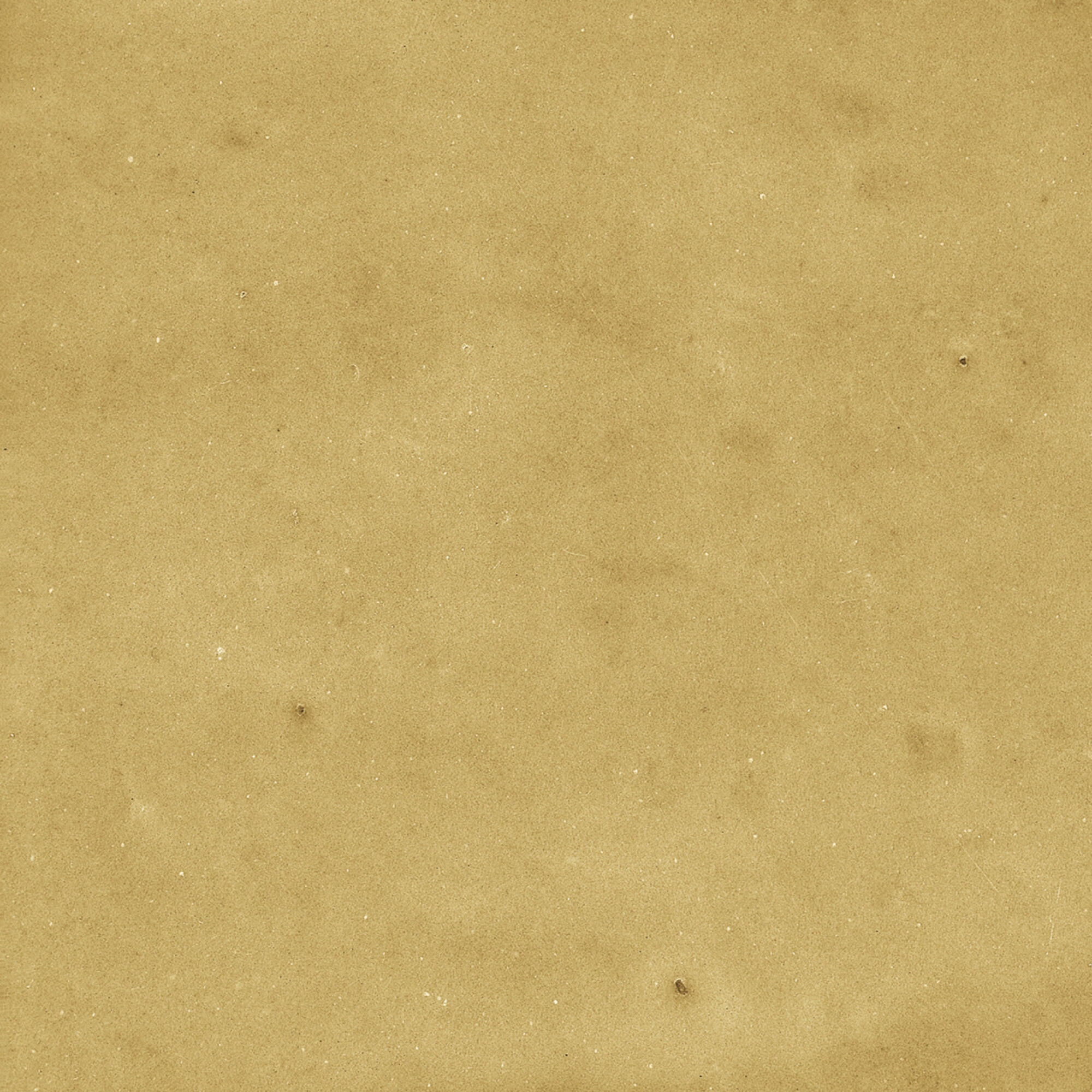 43288 На стену Samira Gold 10x10