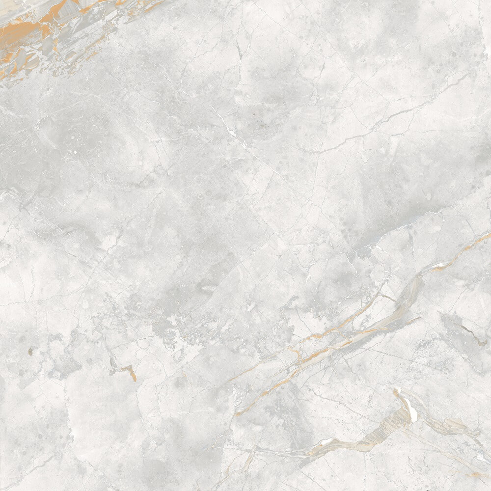 166687 На пол Elison Polished 60x60 - фото 6