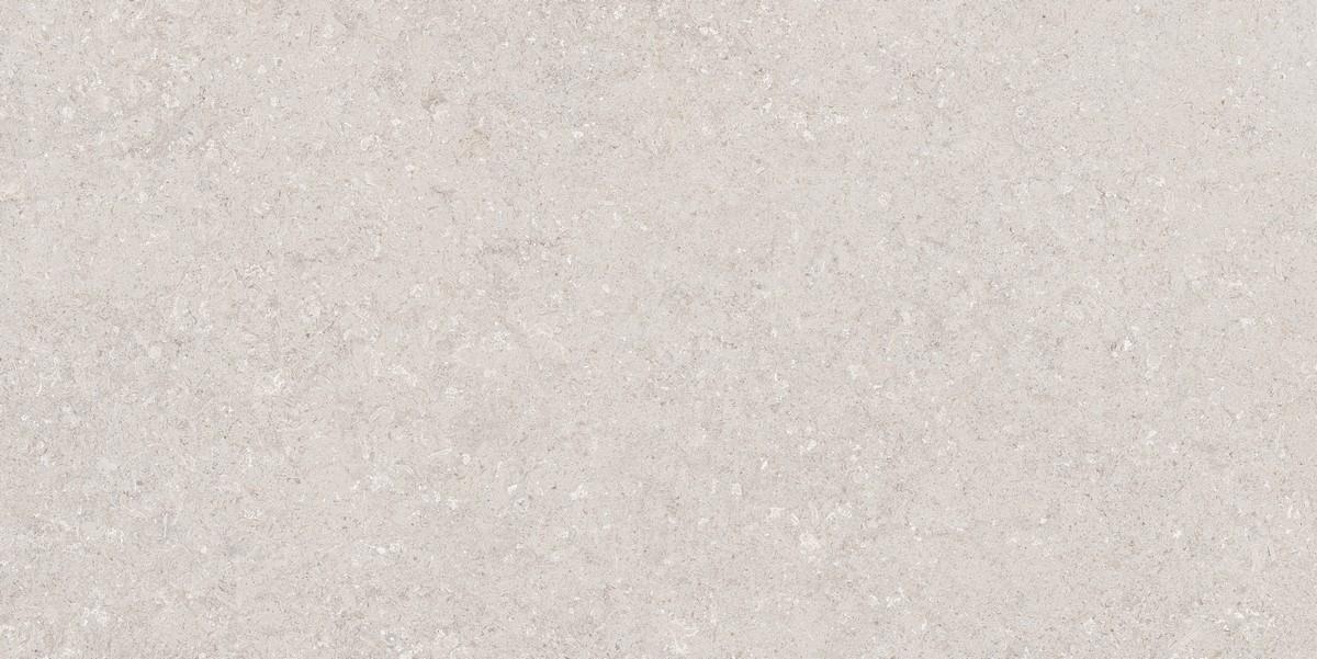 N120036 На пол Decoration Венти Машрум Матовая 60x120