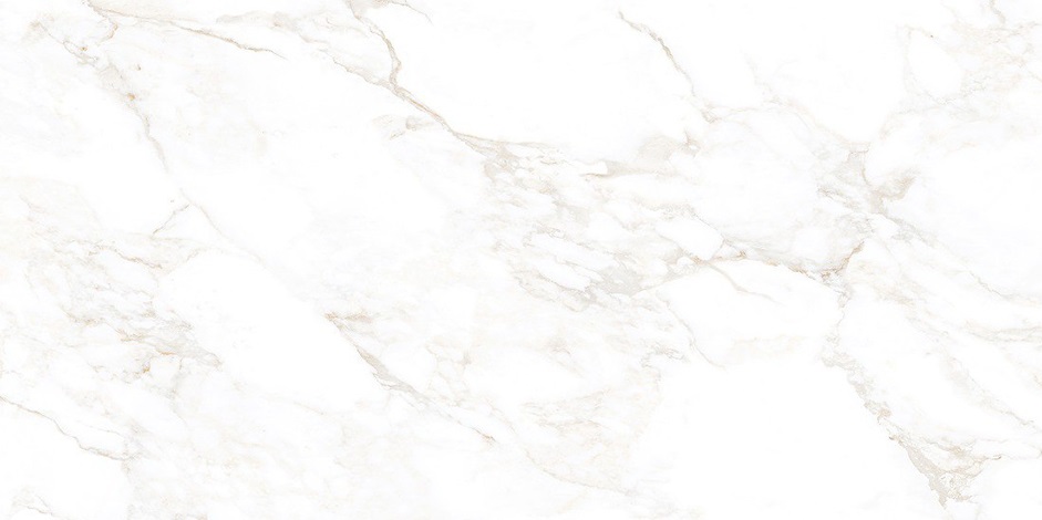 NTT99526M На пол Marmo Marble Extra Endless 60x120