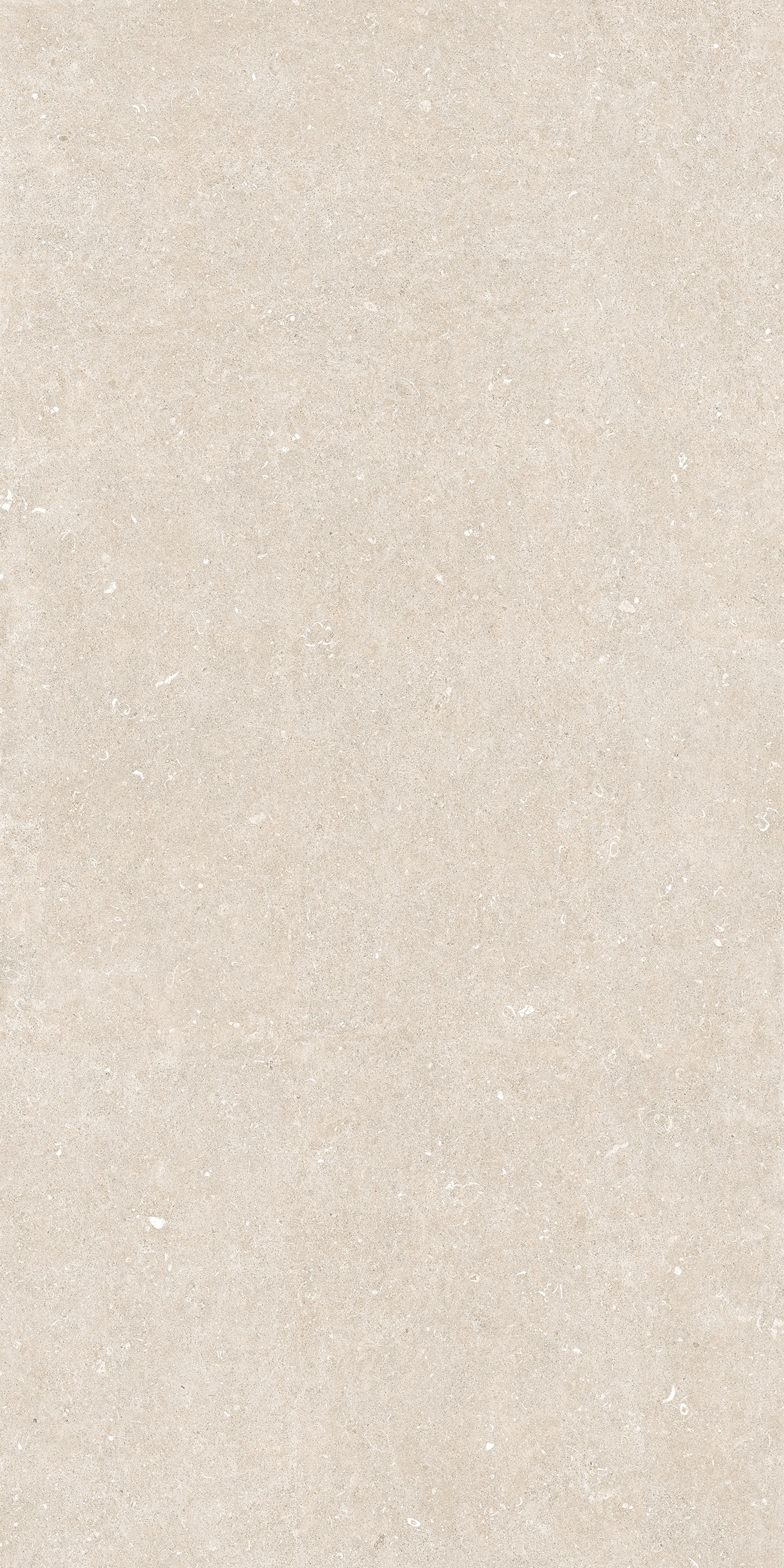 785582 На пол Rinascenza Arena Bianco Antico Matte 6mm 120x240 - фото 3