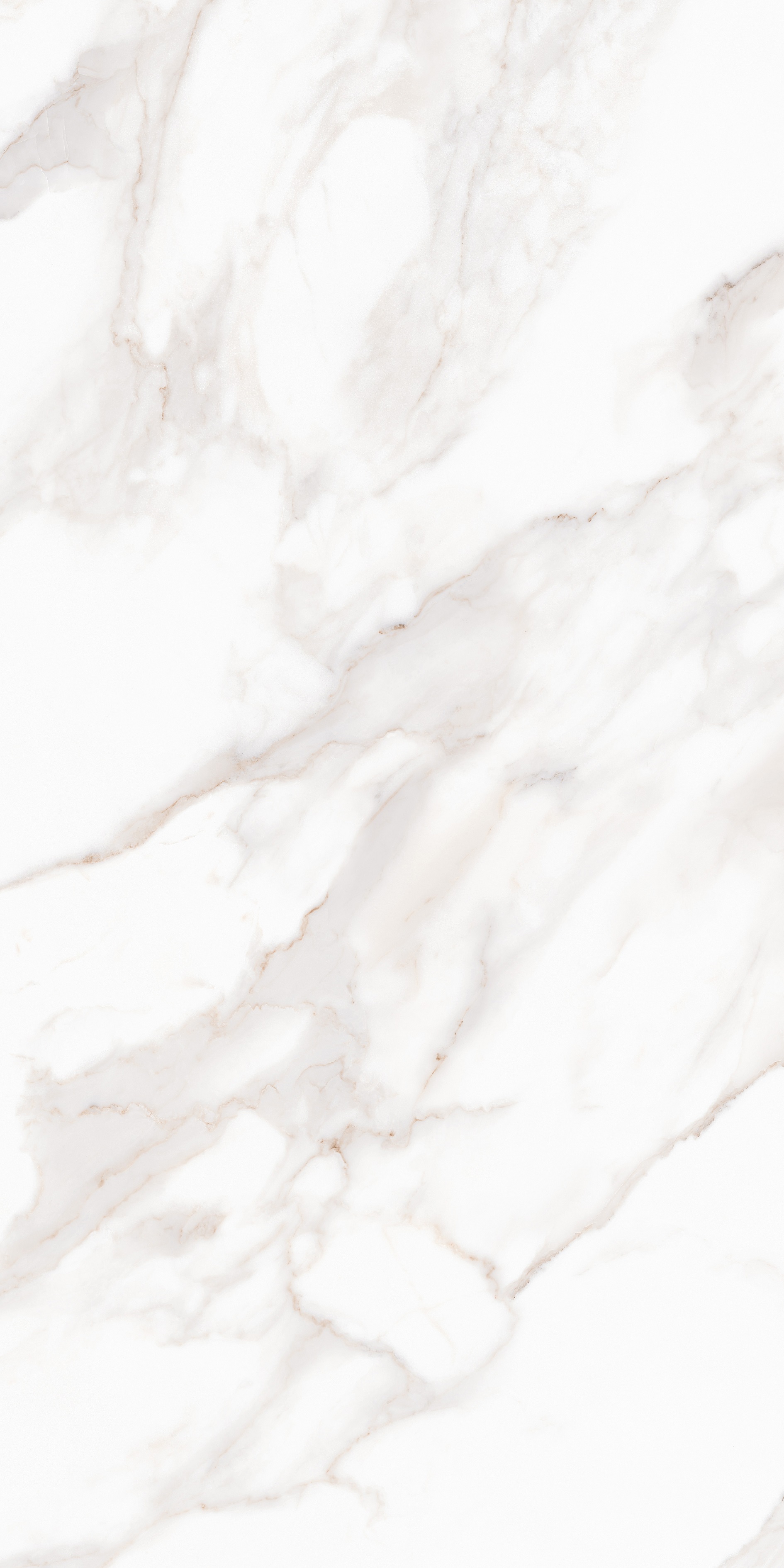 Напольный Calacatta Calacatta Polished 80x160 - фото 3