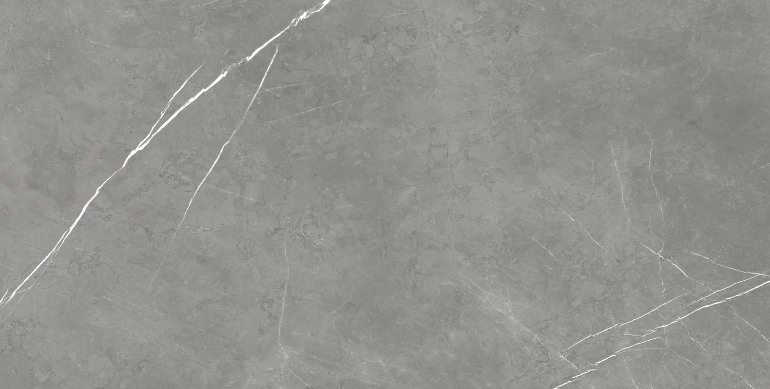 610015000665 Напольный Forte dei Marmi Elegant Grey Lapp 80x160 - фото 4