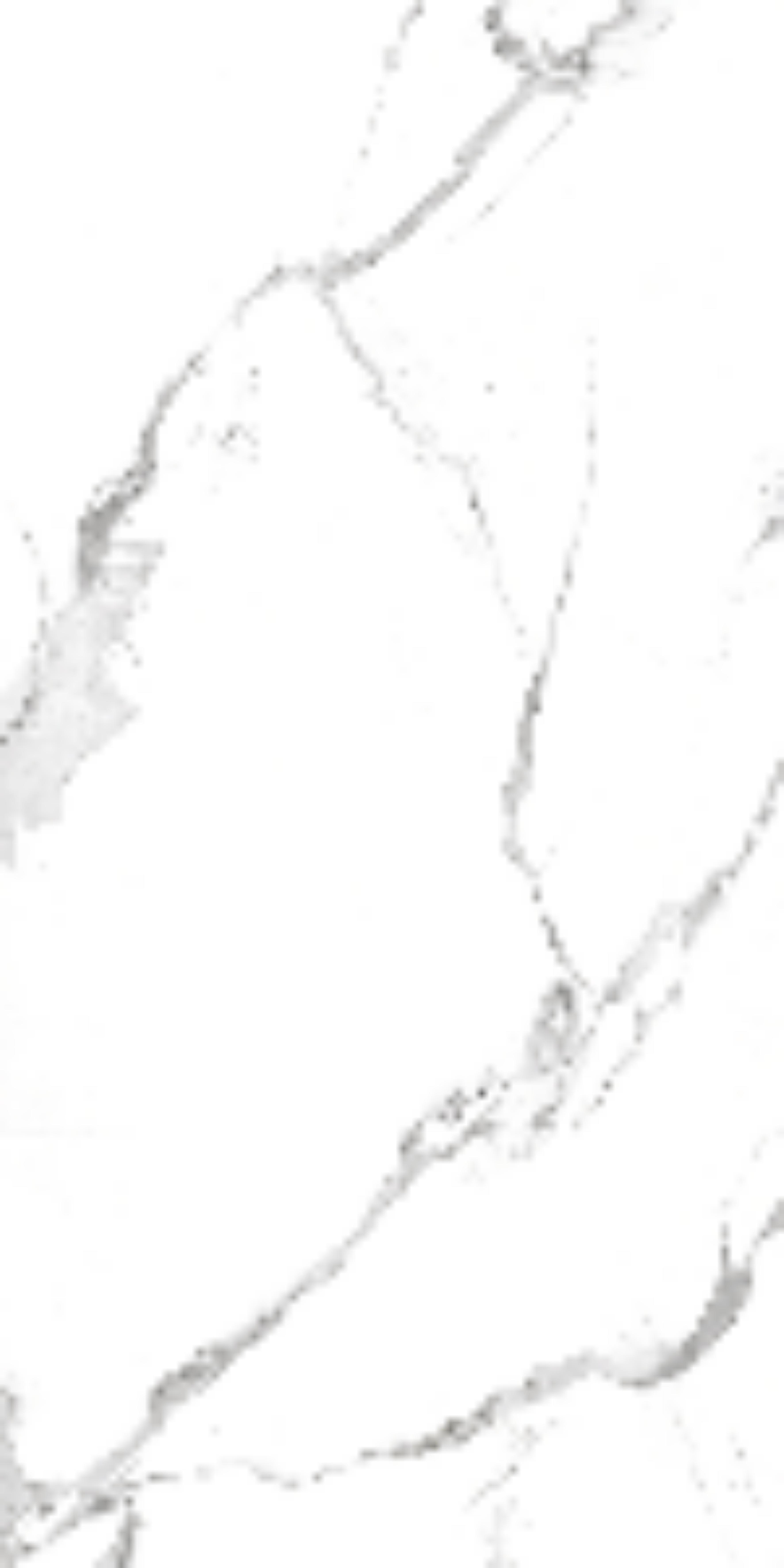 На пол Cerrad Statuario Cerrad Statuario 60x120 - фото 2