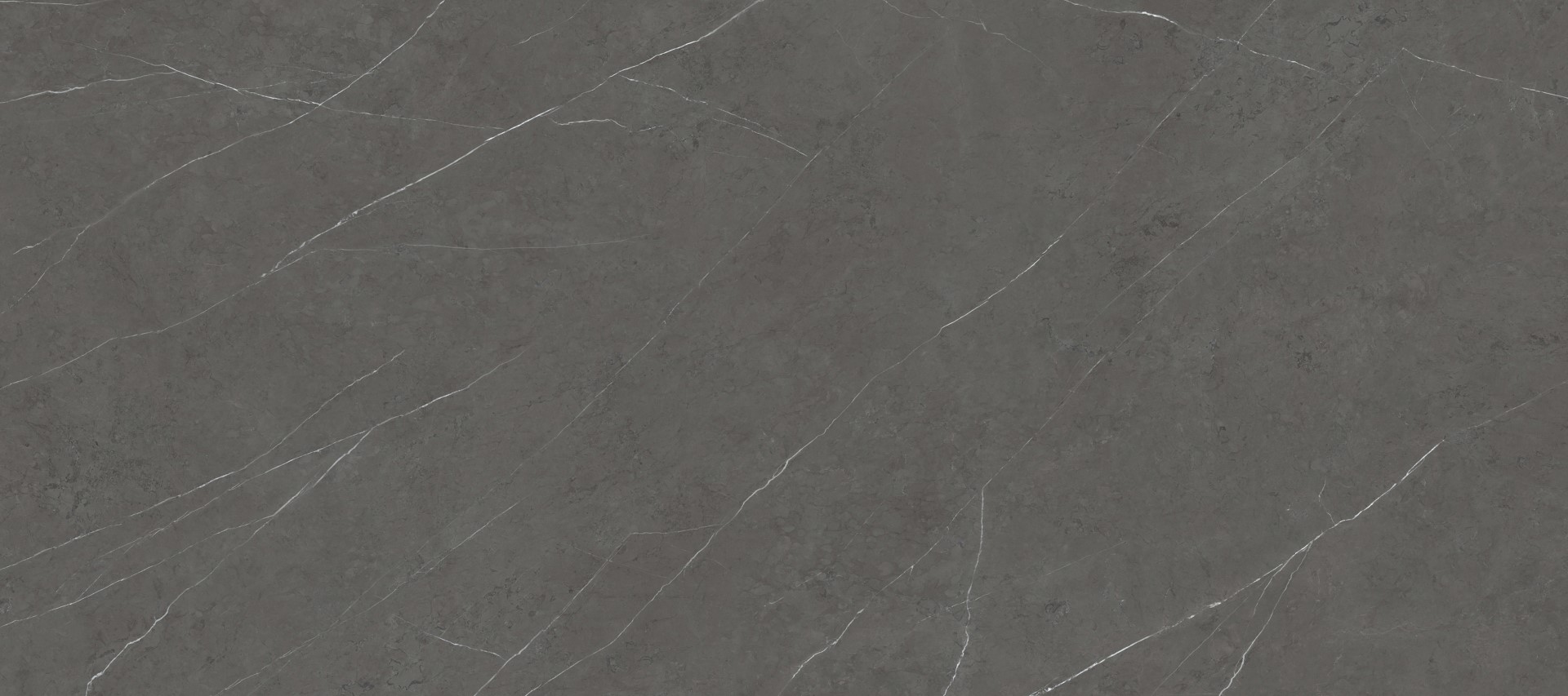 100332609 На пол Liem Black Grey Nature 120x270 - фото 5